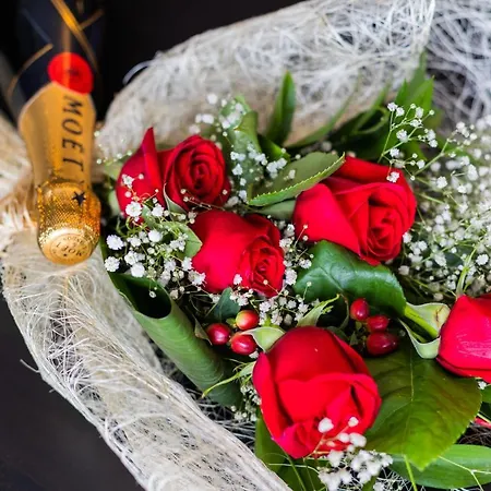 Bestvillas Seixas Beira Rio 公寓 *