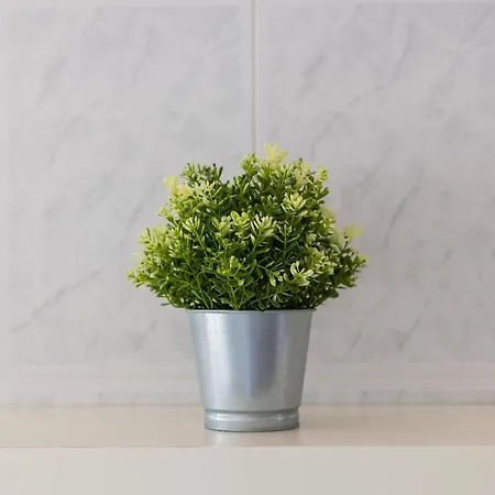 Bestvillas Seixas Beira Rio * 卡米尼亚