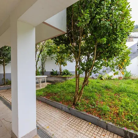 Bestvillas Seixas Beira Rio アパート カミーニャ