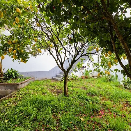 Bestvillas Seixas Beira Rio