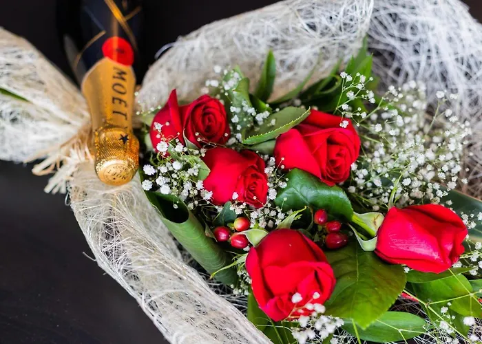 Bestvillas Seixas Beira Rio 公寓 *