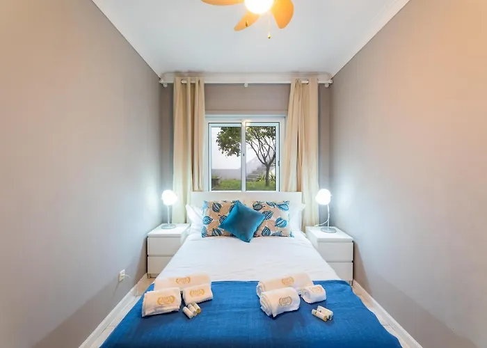 Bestvillas Seixas Beira Rio 公寓 卡米尼亚