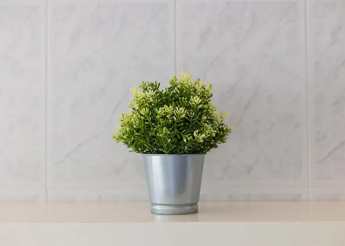 Bestvillas Seixas Beira Rio * Caminha