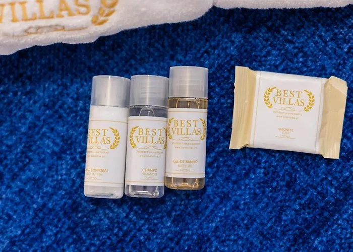 Bestvillas Seixas Beira Rio 公寓 卡米尼亚