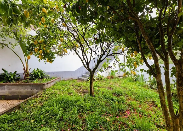 Bestvillas Seixas Beira Rio